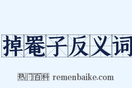 掉罨子反义词是什么意思的图片